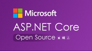 /netcore/