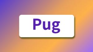 /pugdoc/
